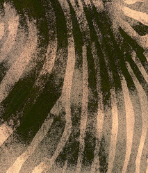 Similar image 21913064