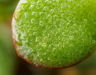 Similar image 21917758