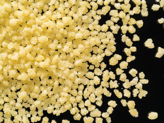 Similar image 21917777