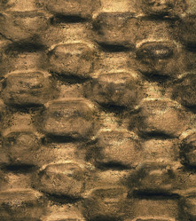 Similar image 21913240