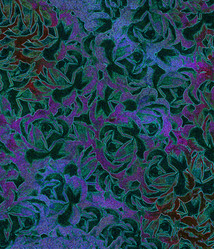 Similar image 21913248