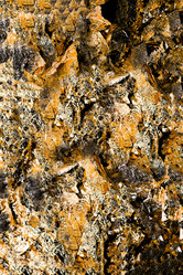 Similar image 21913261