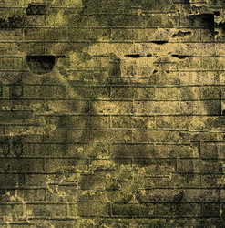 Similar image 21913581