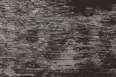 Similar image 21913264