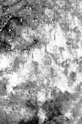 Similar image 21913266