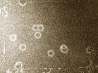 Similar image 21913272