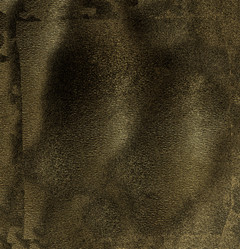 Similar image 21913275