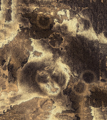 Similar image 21913278