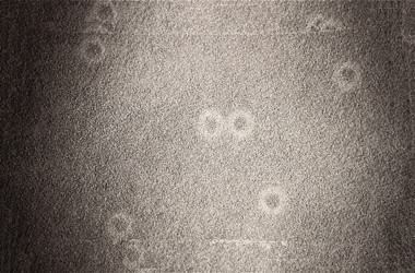 Similar image 21913292