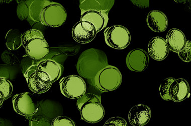 Similar image 21913612