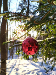 Similar image 21911842