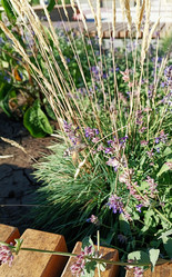 Similar image 21911850