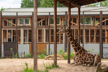 Similar image 21915852