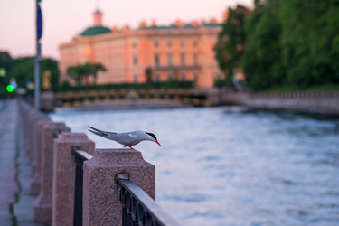 Similar image 21915853