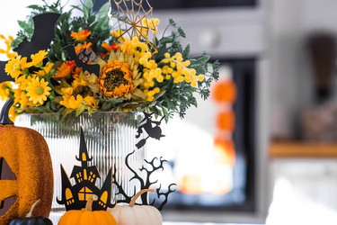 Similar image 21911857