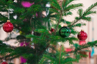 Similar image 21936002