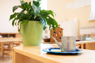 Similar image 21936505