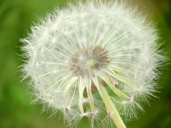 Similar image 21913065