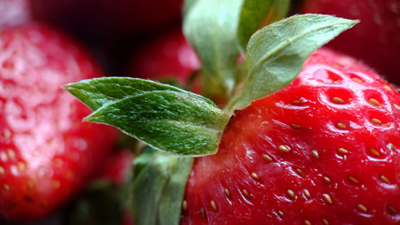 Similar image 21913068