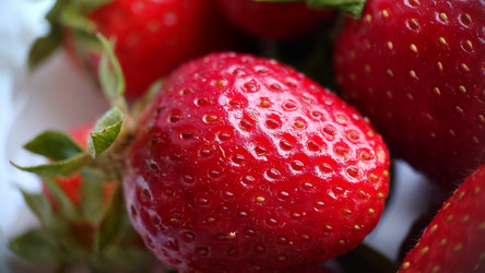 Similar image 21913074