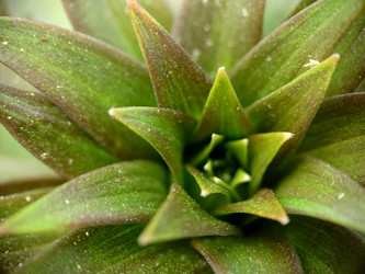 Similar image 21913076