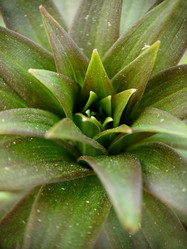 Similar image 21913080