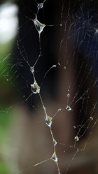 Similar image 21913083