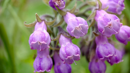 Similar image 21913086