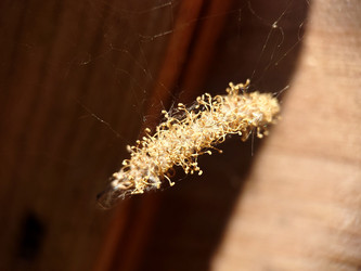 Similar image 21913087