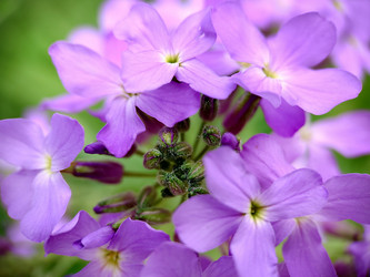 Similar image 21913090