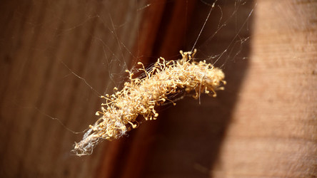 Similar image 21913093