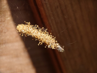 Similar image 21913095