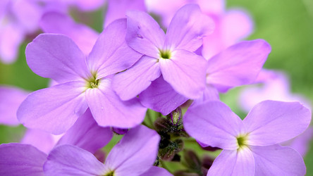 Similar image 21913096