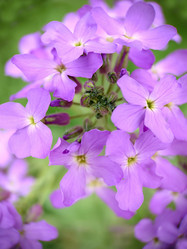 Similar image 21913100