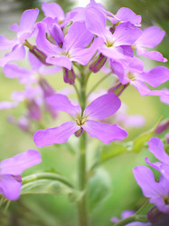 Similar image 21913102