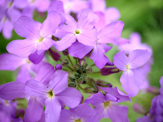 Similar image 21913105