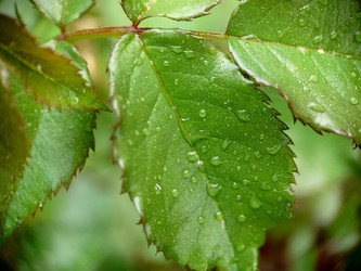 Similar image 21913106