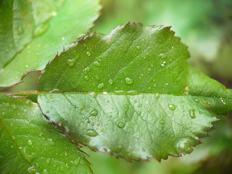 Similar image 21913109