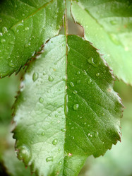 Similar image 21913110