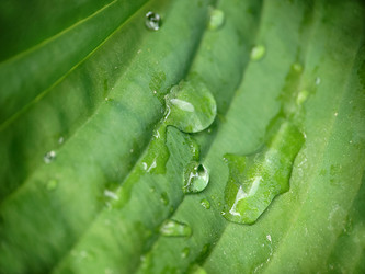 Similar image 21913113