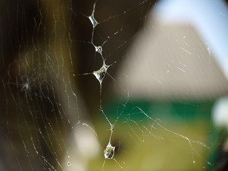 Similar image 21913295