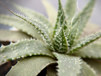 Similar image 21913312