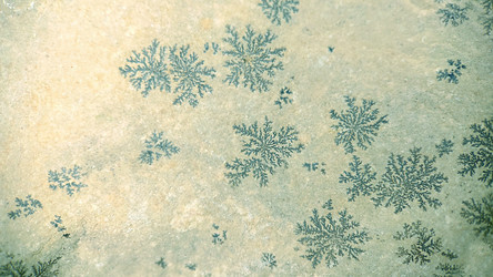 Similar image 21913327