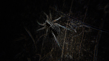 Similar image 21913330