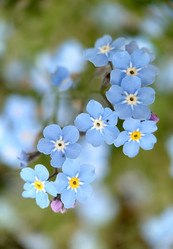 Similar image 21913333