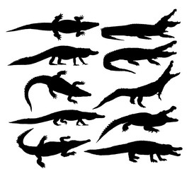 Similar image 21914376