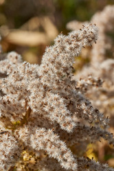 Similar image 21918233