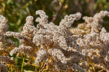 Similar image 21916431