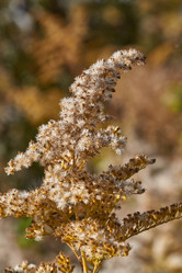 Similar image 21914236