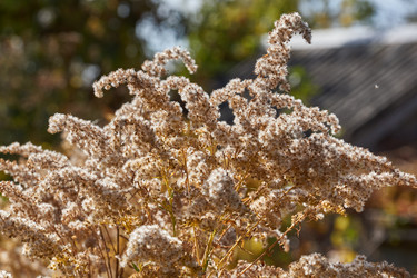 Similar image 21911871